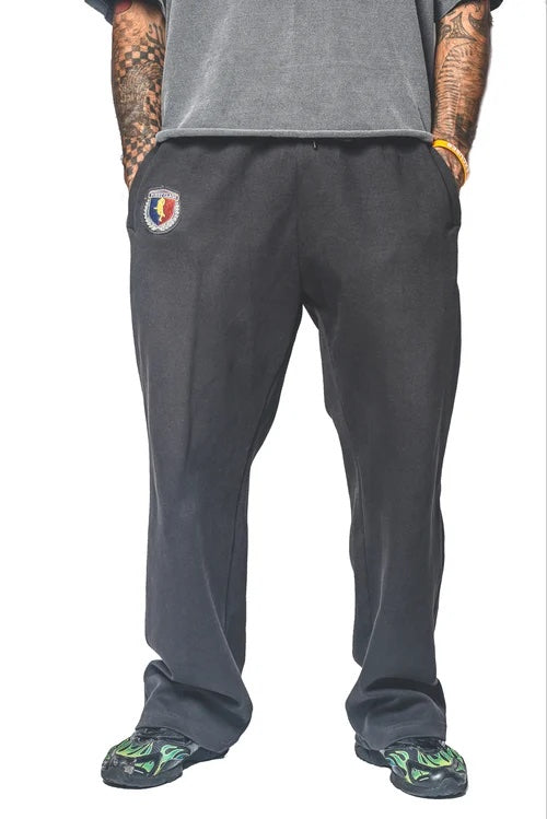 FC JOGGER - 3M FC LOGO - GREY